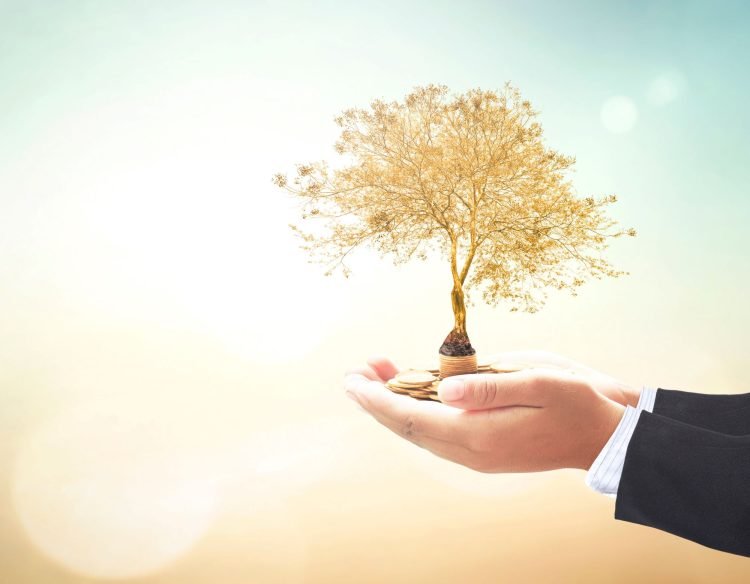 How To Secure Your Future Through Wealth Management 