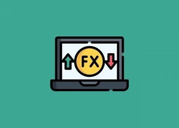 A Beginner’s Guide To Forex Trading In 2023