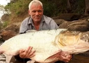 Is Jeremy Wade Married? The Truth About The River Monsters Star