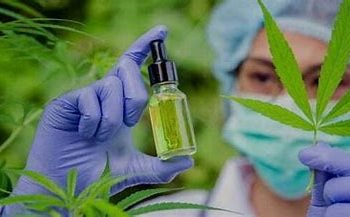 From Edibles to Topicals: A Diverse Range of Products at Online Dispensaries