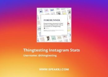 The Empowering Influence of Instagram Followers