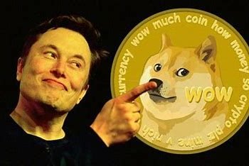 Dogecoin and Elon Musk: A Bromance that Shook the Crypto World