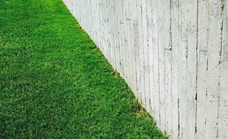 Is It a Good Idea to Use High Potash Fertilisers?