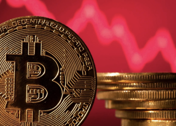 The Bitcoin Chronicles: Performance and Predictions