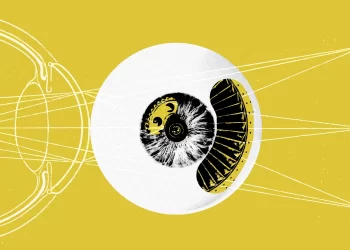 Transforming Pixels into Concepts: Rethinking Digital Possession within WILD, the Wilder World