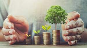 Sustainable Investment Platforms: A Guide to Eco-Conscious Trading