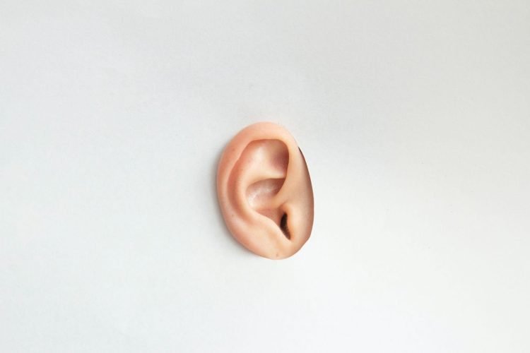 The Connection Between Hearing Loss and Tinnitus