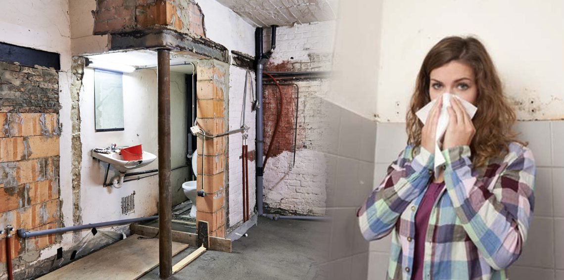 Comprehensive Guide to Mold Remediation in Walton, NY Homes