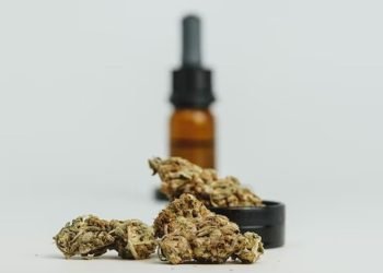 Unlocking the Therapeutic Potential of THCA Products: The Future of Medical Cannabis