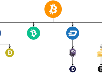 Does The Creation Of BTC Forks affect Bitcoin Price?