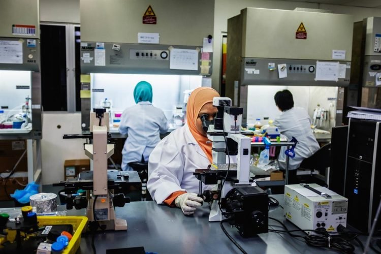 Environmental Monitoring: Data Science in Climate Research