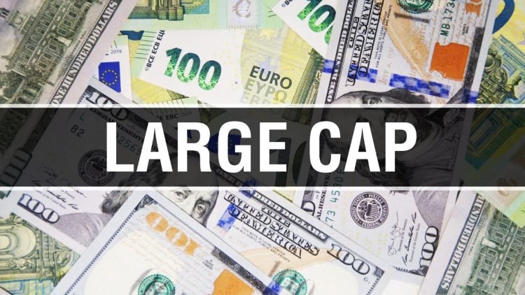 Large-cap funds unveiled: The money magnet you’ve been ignoring!
