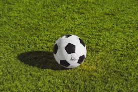 “How to Spot a Fraudulent Toto Sports Site: Key Indicators”