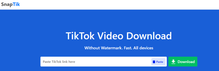 In-Depth Review: Is Snaptik the Best TikTok Video Downloader?