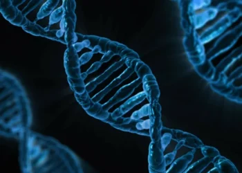 Demystifying Genetic Testing and Understanding Your Health Blueprint