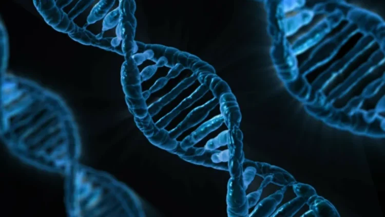Demystifying Genetic Testing and Understanding Your Health Blueprint