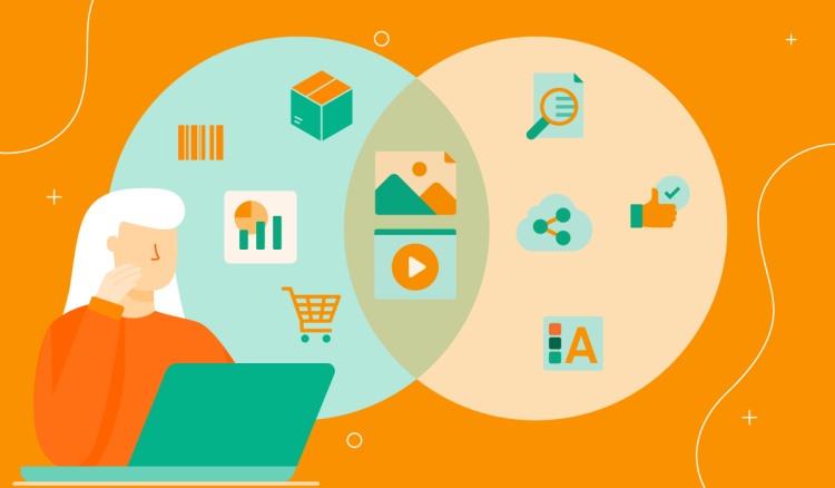 Navigating the Digital Landscape: Understanding the Distinctions Between PIM and DAM