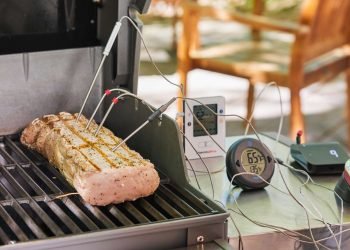 Best Wi-Fi Meat Thermometer of 2024