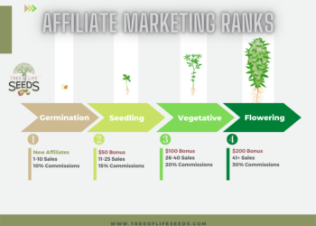 The Benefits of CBD Affiliate Marketing Programs