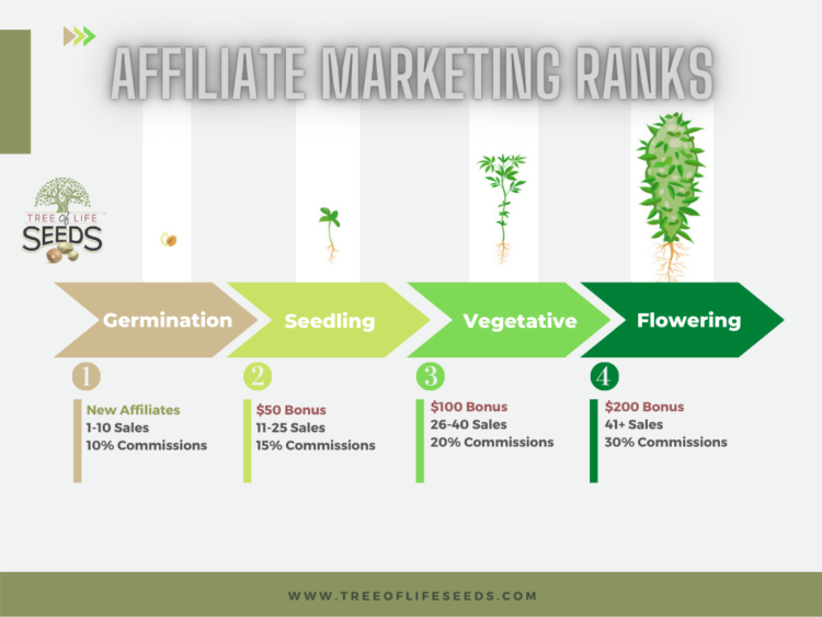 The Benefits of CBD Affiliate Marketing Programs