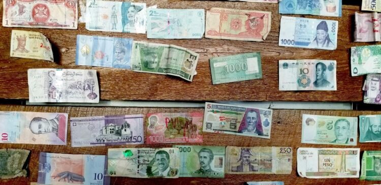 Why People Collect and Profit from Paper Money