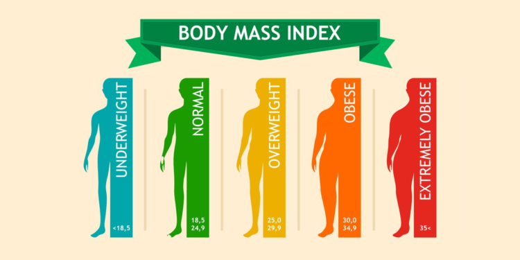 What is Body Mass Index (BMI) Calculator?: All You Need to Know