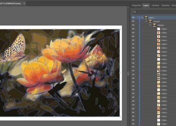 Illustrator Software Guidelines You Must Know If You Are Exploring Image And Graphics Editing