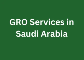 PRO Services in Saudi Arabia: Understanding the Fundamentals for Investors