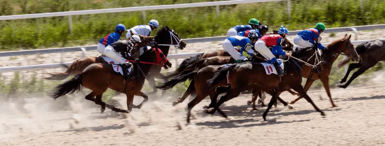 10 Tips for Horse Racing Betting