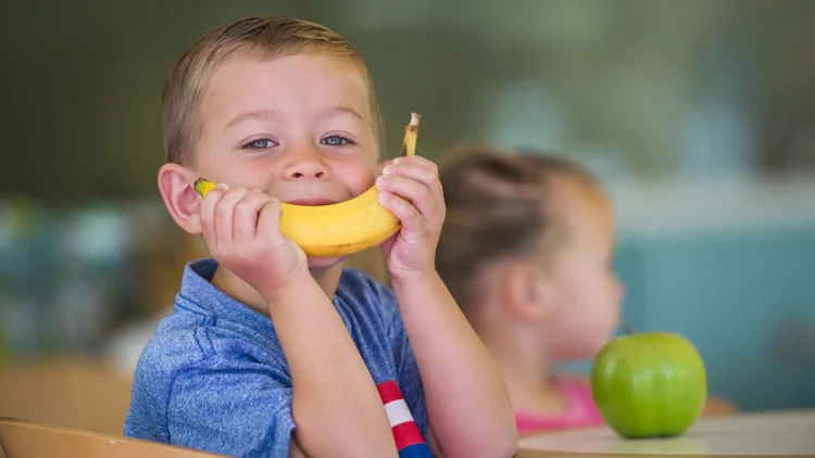 Healthy Bites for Tiny Tots: Snacking Solutions for Toddlers
