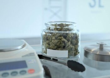 The Benefits of Cannabis Infusion Products for Medical Patients