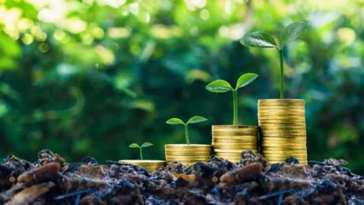 Bitcoin Investment: Integrating ESG Factors for Environmental and Social Impact