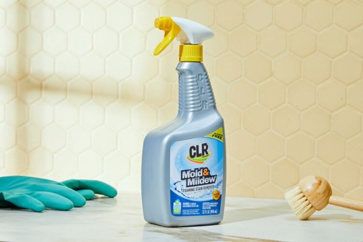 3 Tips on How to Choose a Mould Remover Product