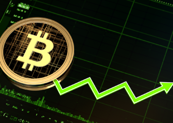 Assessing Blockchain Technology and Adoption Metrics in Bitcoin Investment