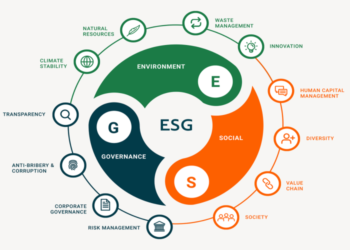 Evaluating Environmental, Social, and Governance Criteria in Socially Responsible Investment