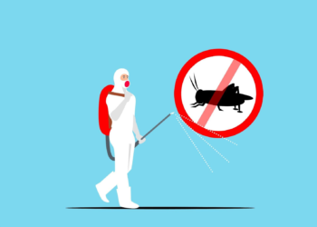 What Happens During a Free Pest Control Inspection?