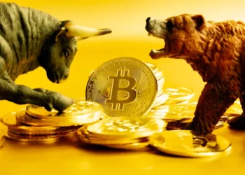 Strategies for Bitcoin Investors in Bear Markets