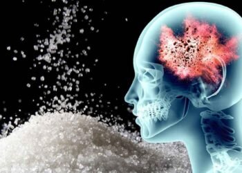 The Impact of Sugar on Your Brain: A Closer Look at What Happens Inside Your Head
