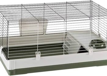 Buy Quality Rabbit Cages – Keep Your pet Happy & Safe