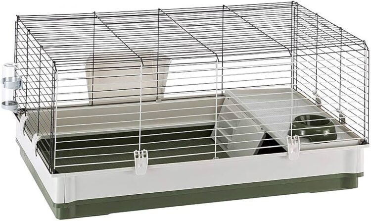 Buy Quality Rabbit Cages – Keep Your pet Happy & Safe