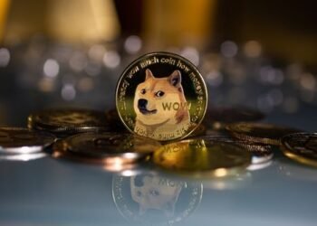 Dogecoin: The Playful Coin That Evolved into a Global Sensation