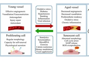 How Aging Affects Swallowing Mechanisms