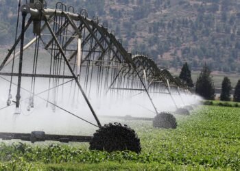 How to Finance a Smart Upgrade to Your Farm’s Irrigation System