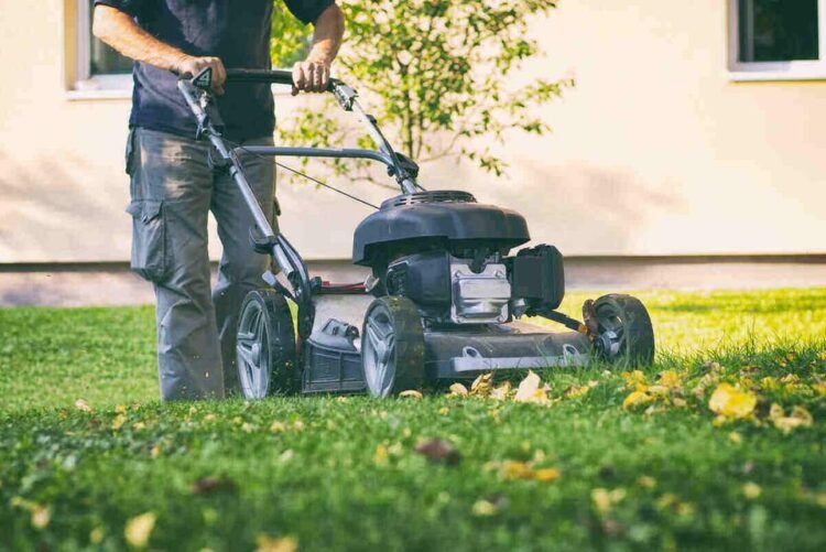 When is the Best Time to Mow Your Lawn in Dallas, TX?