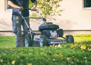 When is the Best Time to Mow Your Lawn in Dallas, TX?